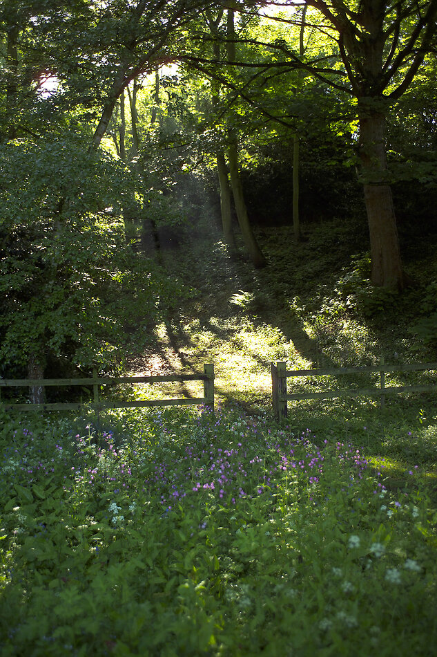 Hill House, Hertfordshire