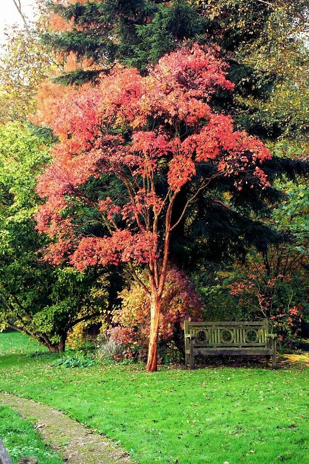 Hill House, Hertfordshire