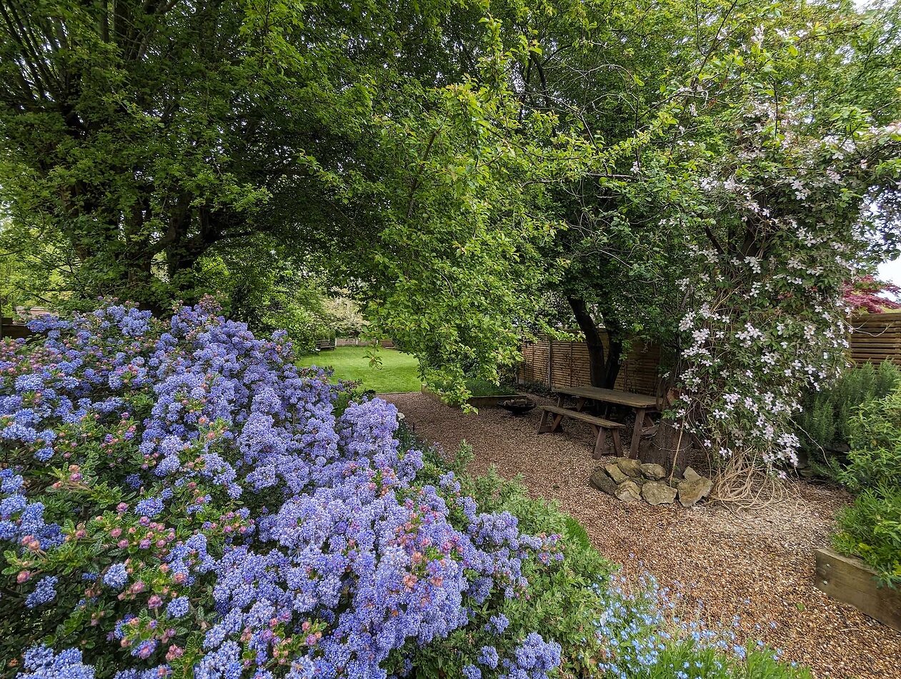 Garden Haven in London