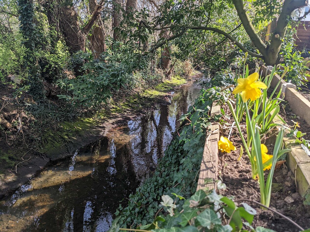 Garden Haven in London