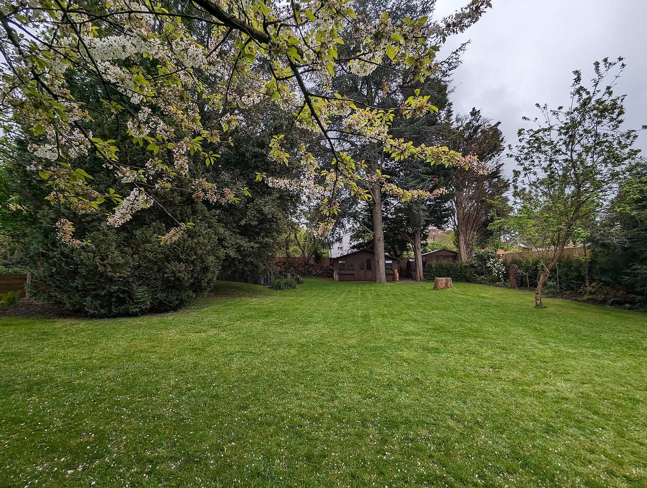 Garden Haven in London