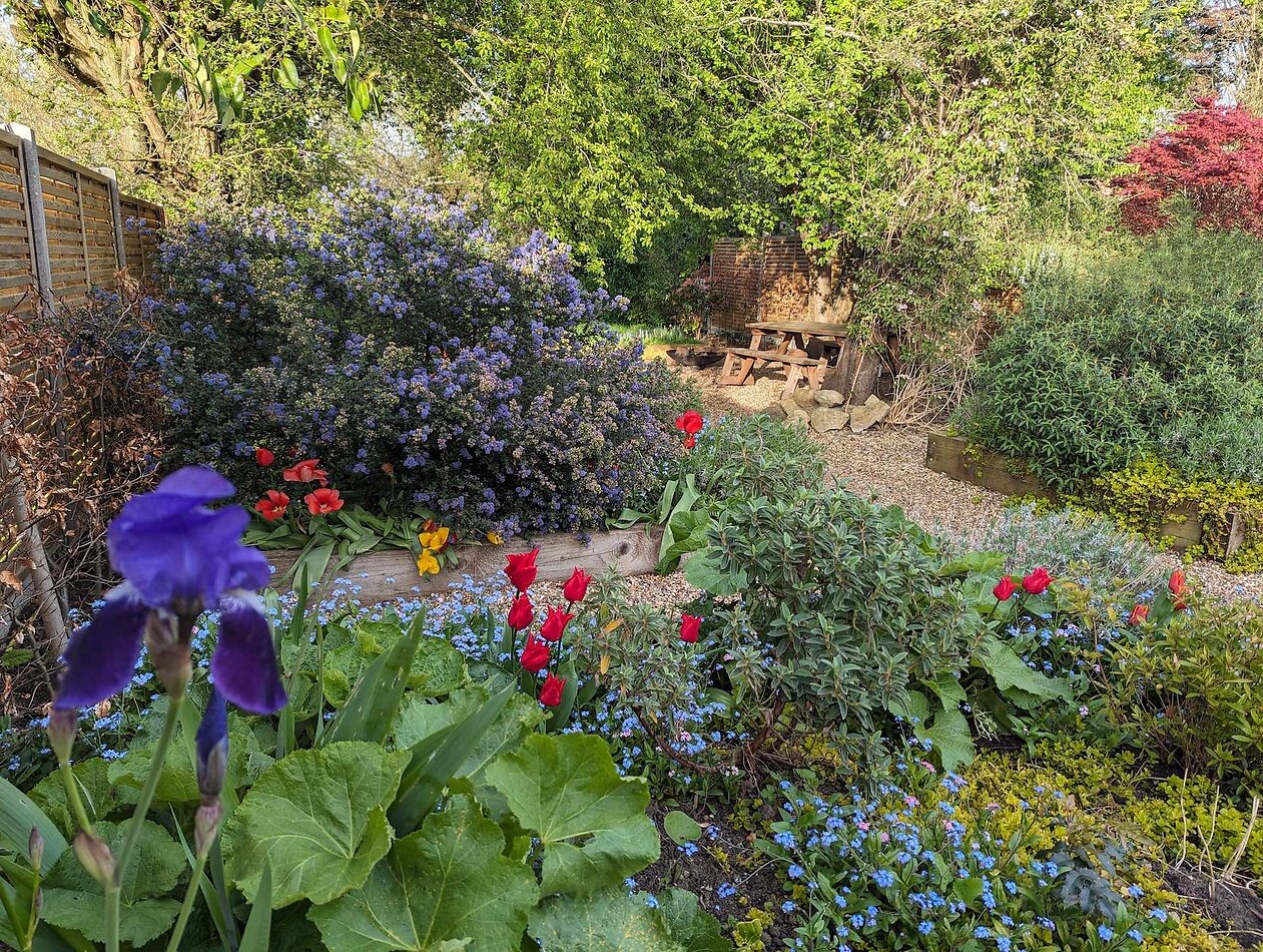 Garden Haven in London