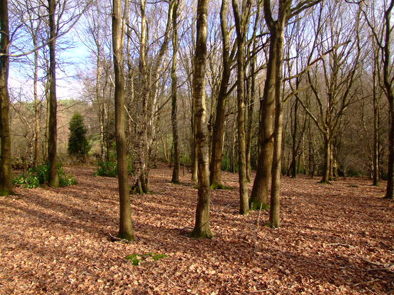 Hammerwood Park, East Sussex