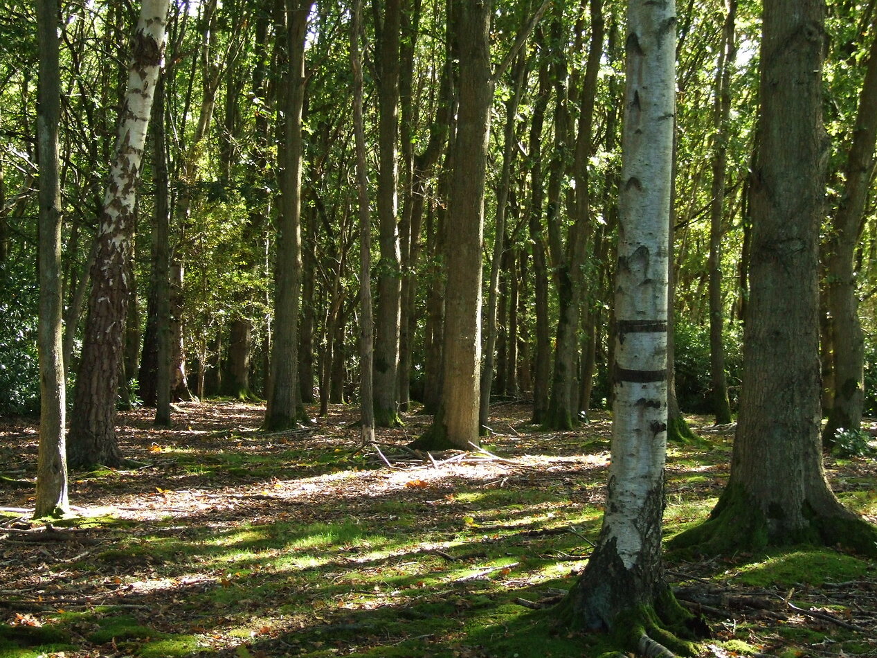 Hammerwood Park, East Sussex