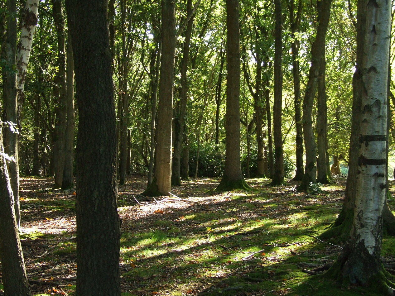 Hammerwood Park, East Sussex