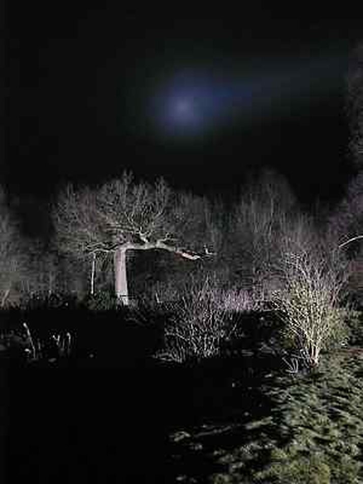 Hammerwood Park, East Sussex