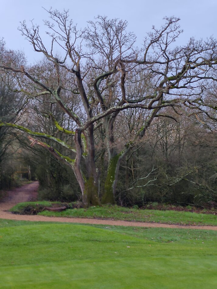 Golf Course - NW7