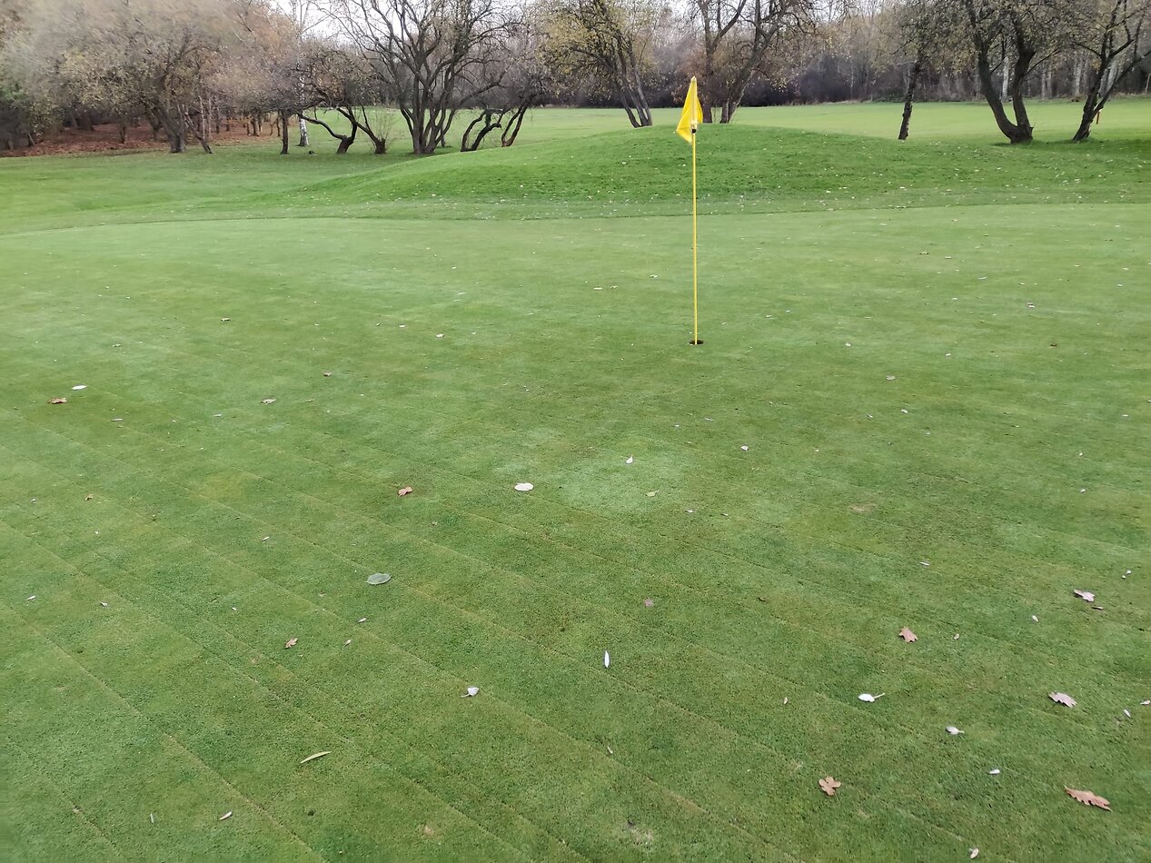 Golf Course - NW7