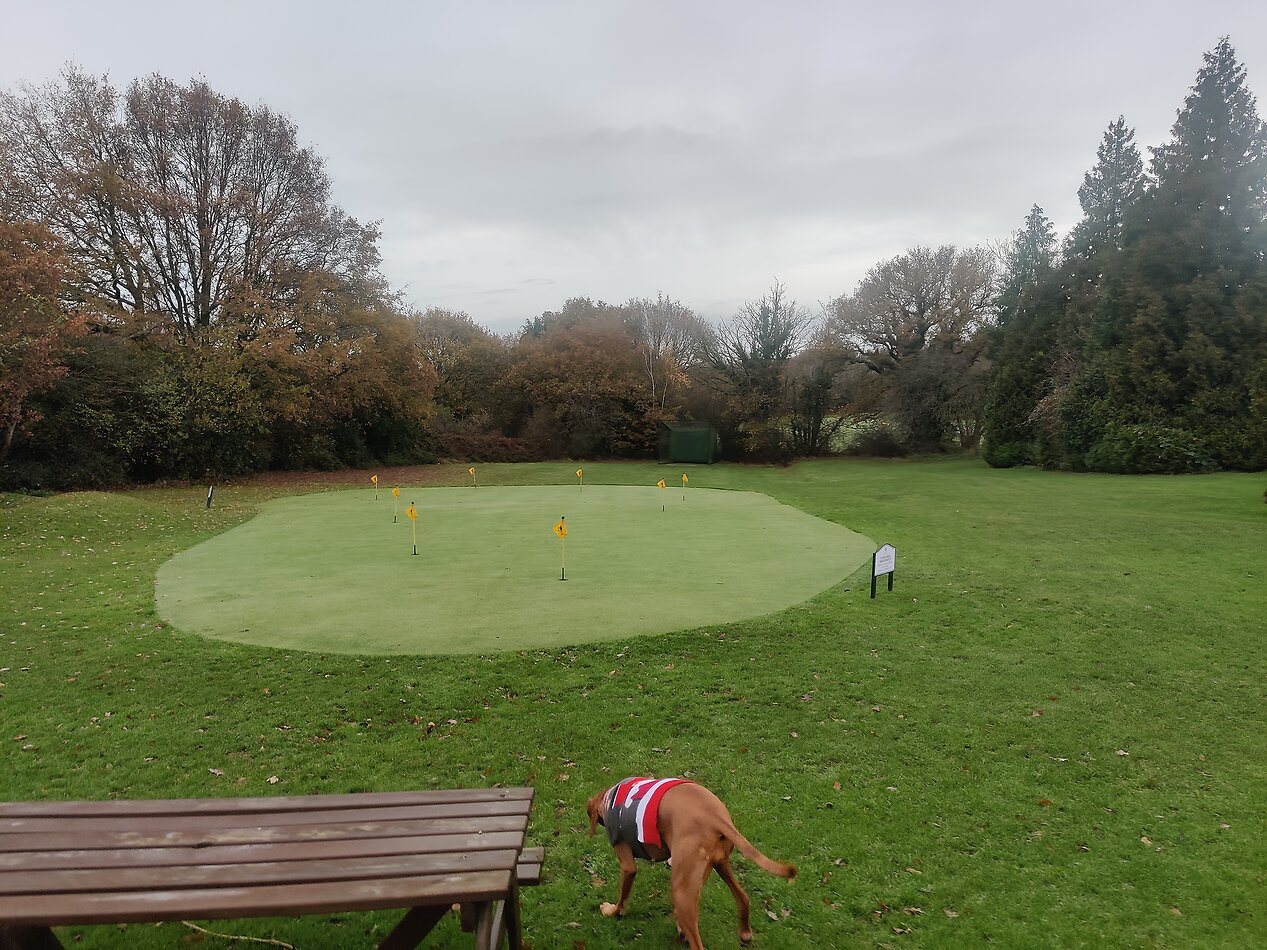 Golf Course - NW7