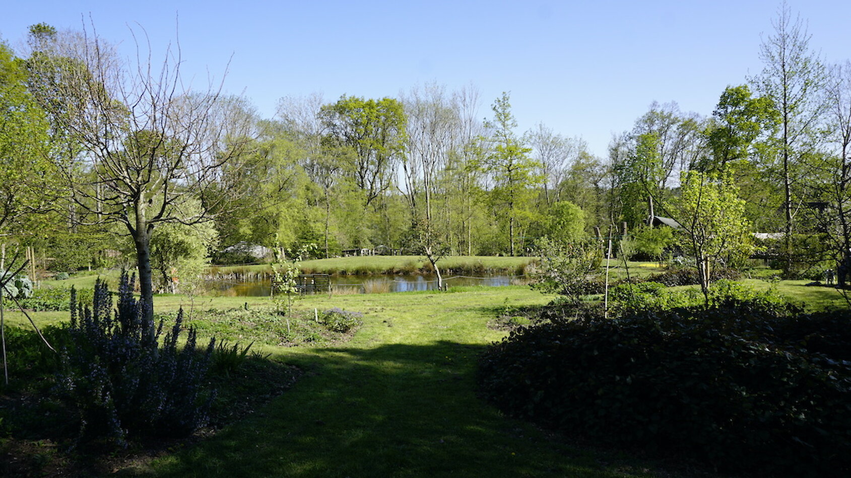 Enchanted Garden - Sussex