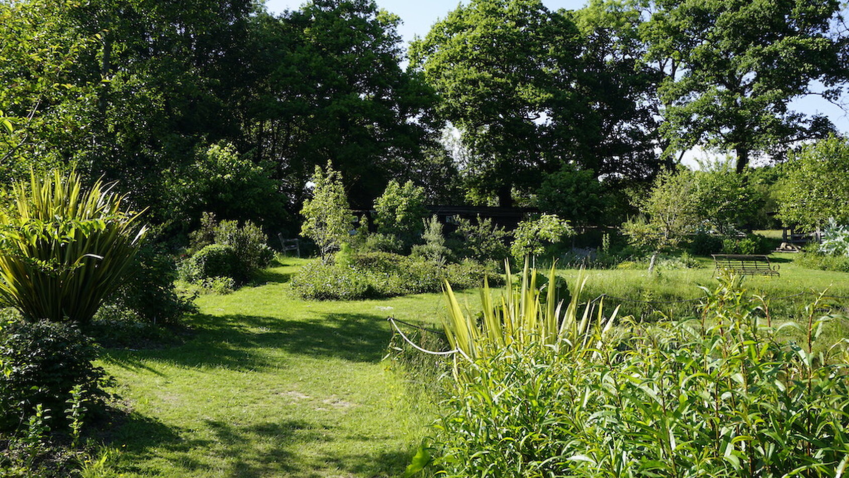 Enchanted Garden - Sussex
