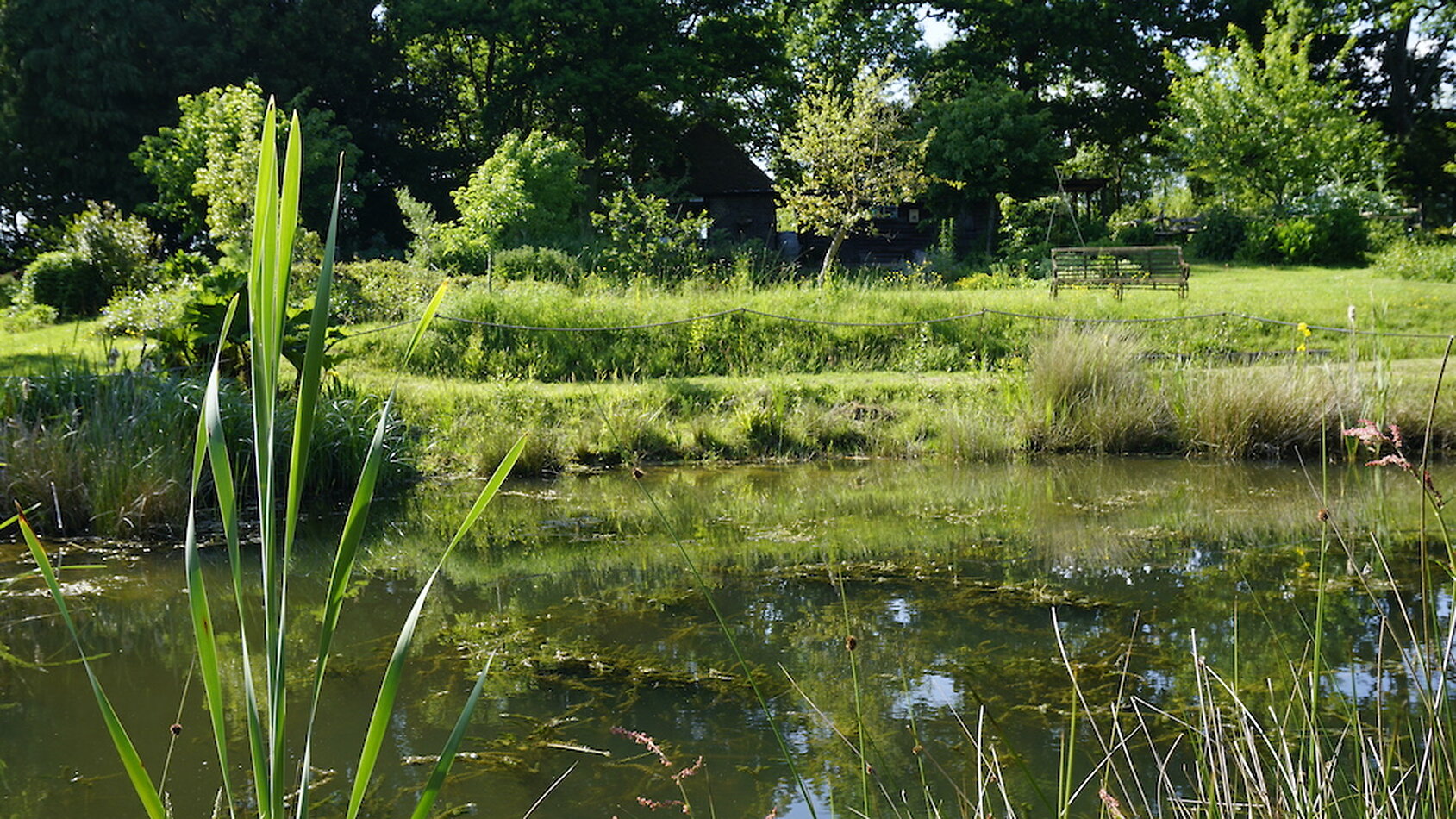 Enchanted Garden - Sussex