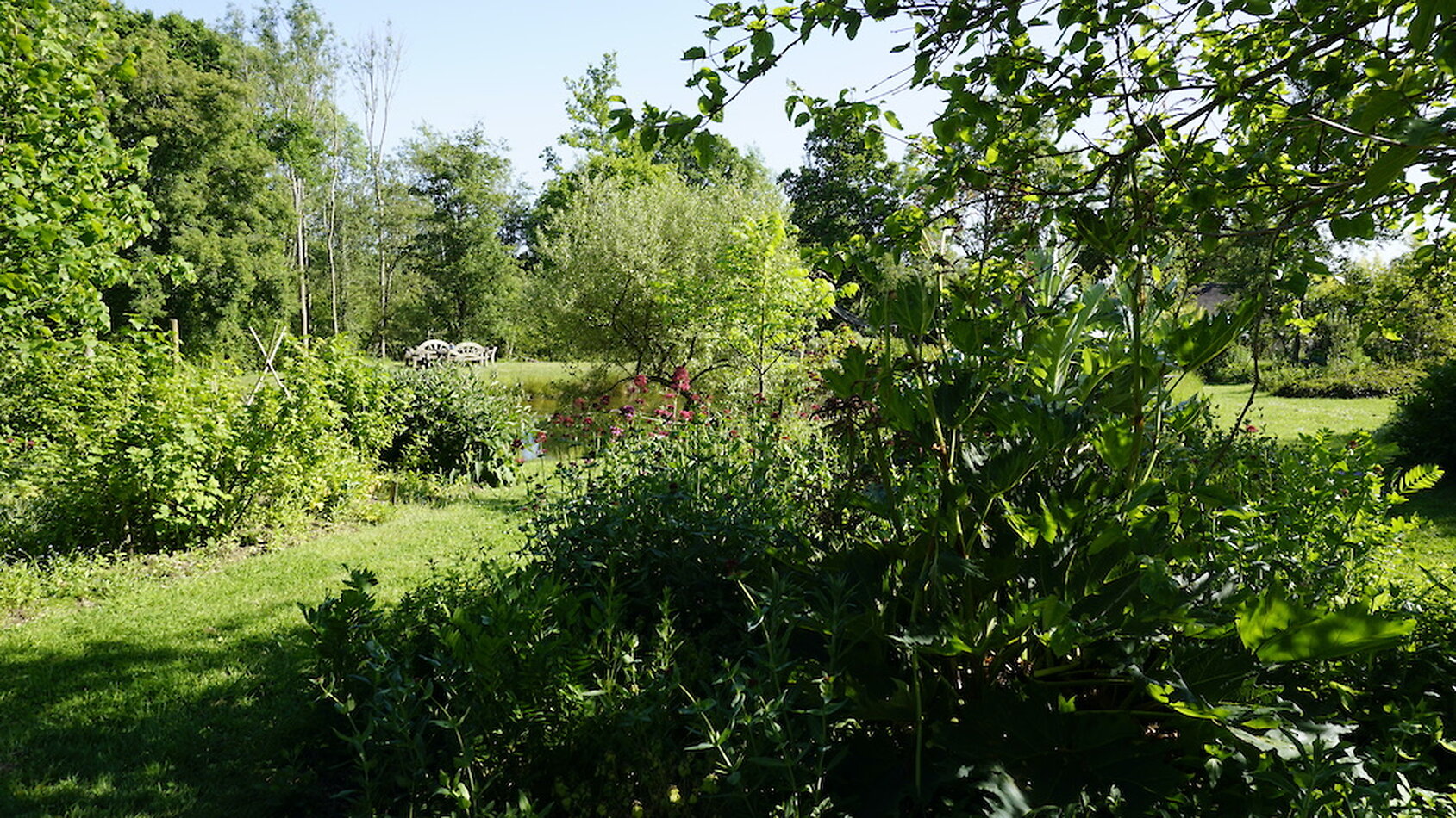 Enchanted Garden - Sussex