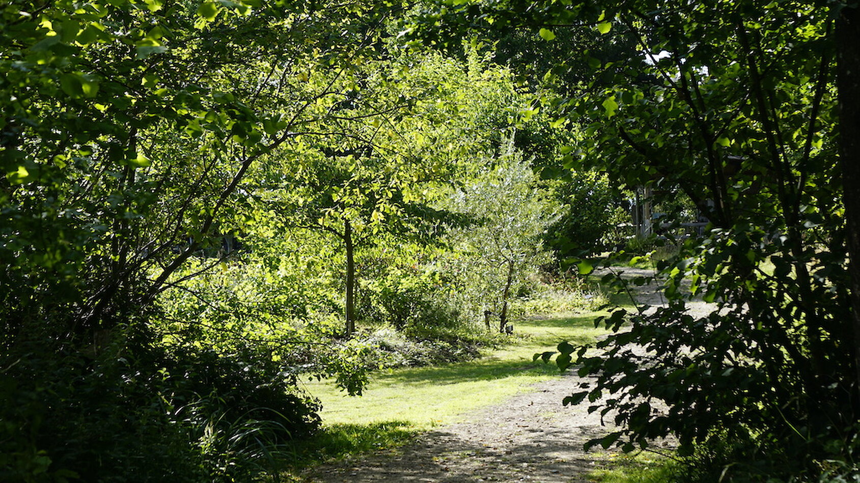 Enchanted Garden - Sussex