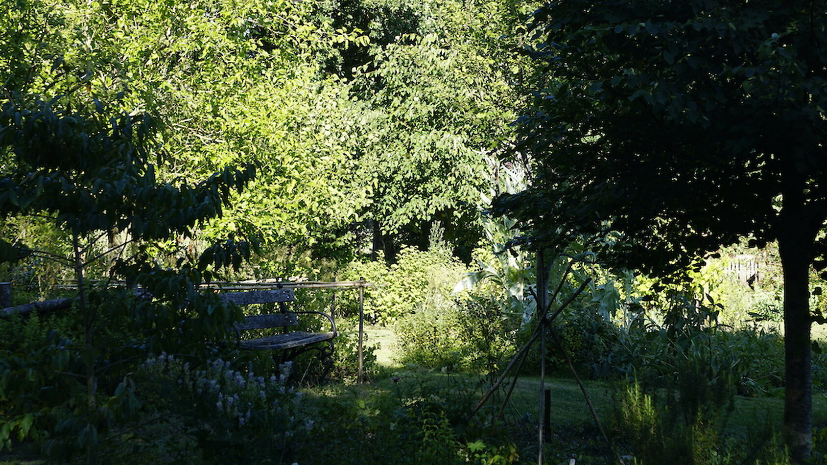 Enchanted Garden - Sussex