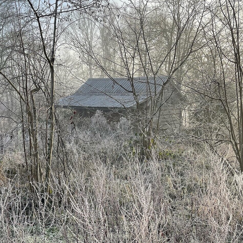 Enchanted Garden - Sussex