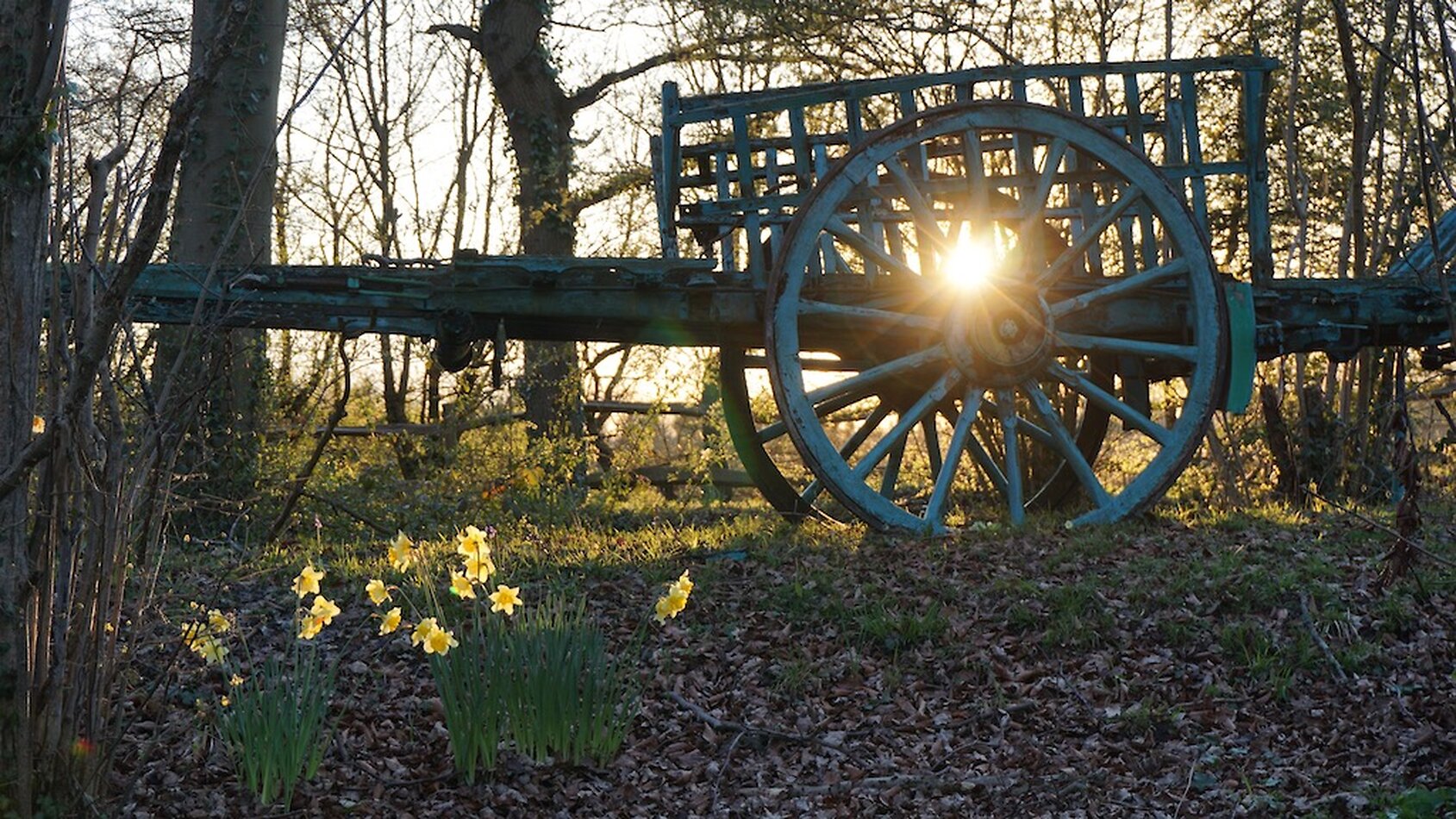Enchanted Garden - Sussex