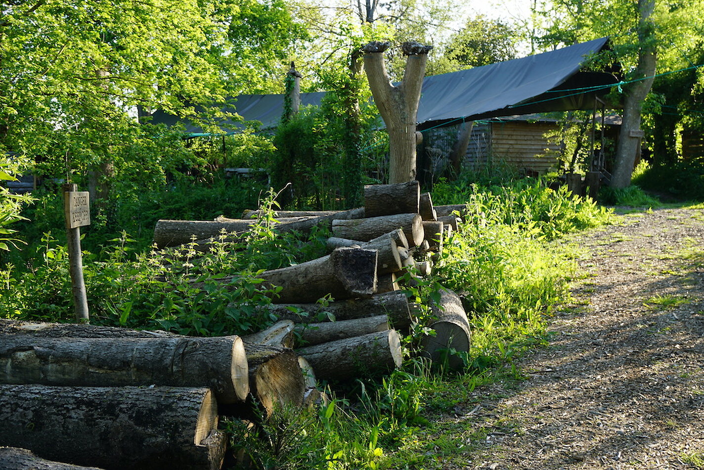 Enchanted Garden - Sussex