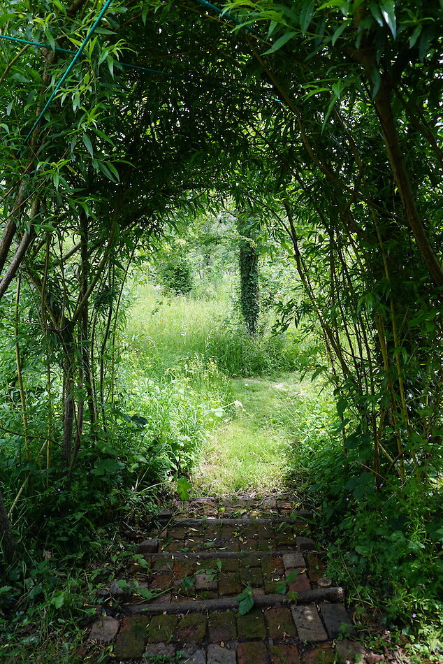 Enchanted Garden - Sussex
