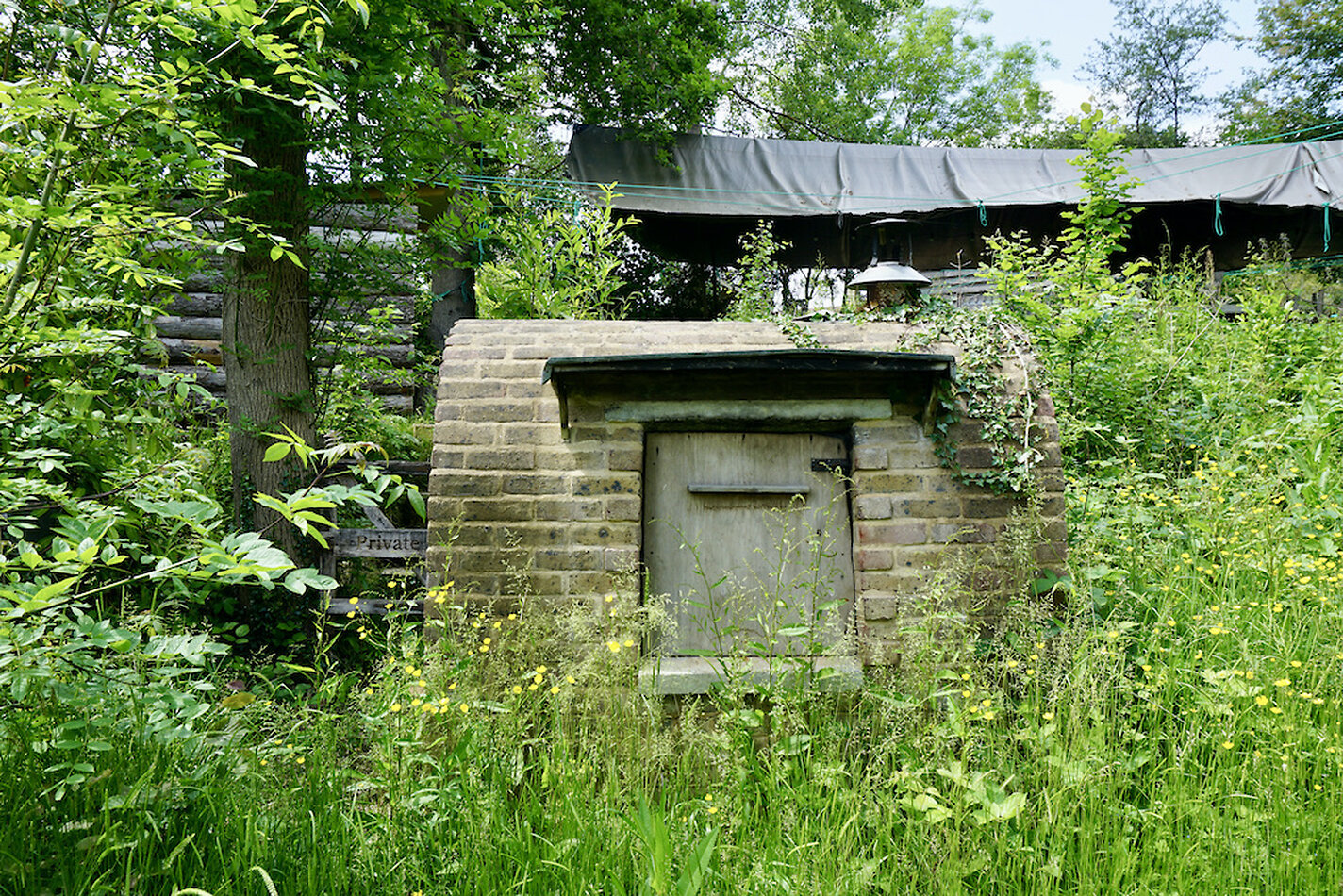 Enchanted Garden - Sussex