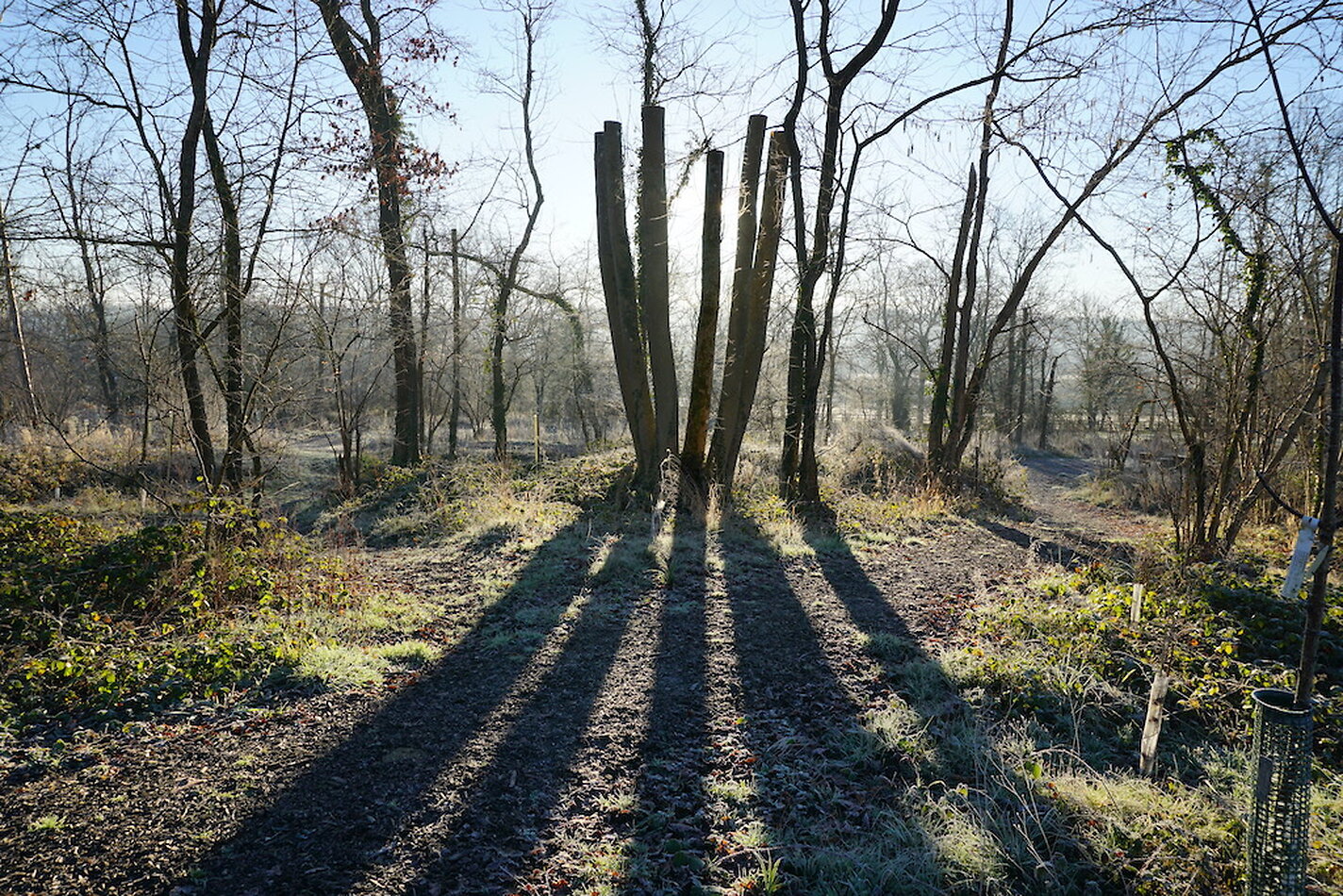 Enchanted Garden - Sussex