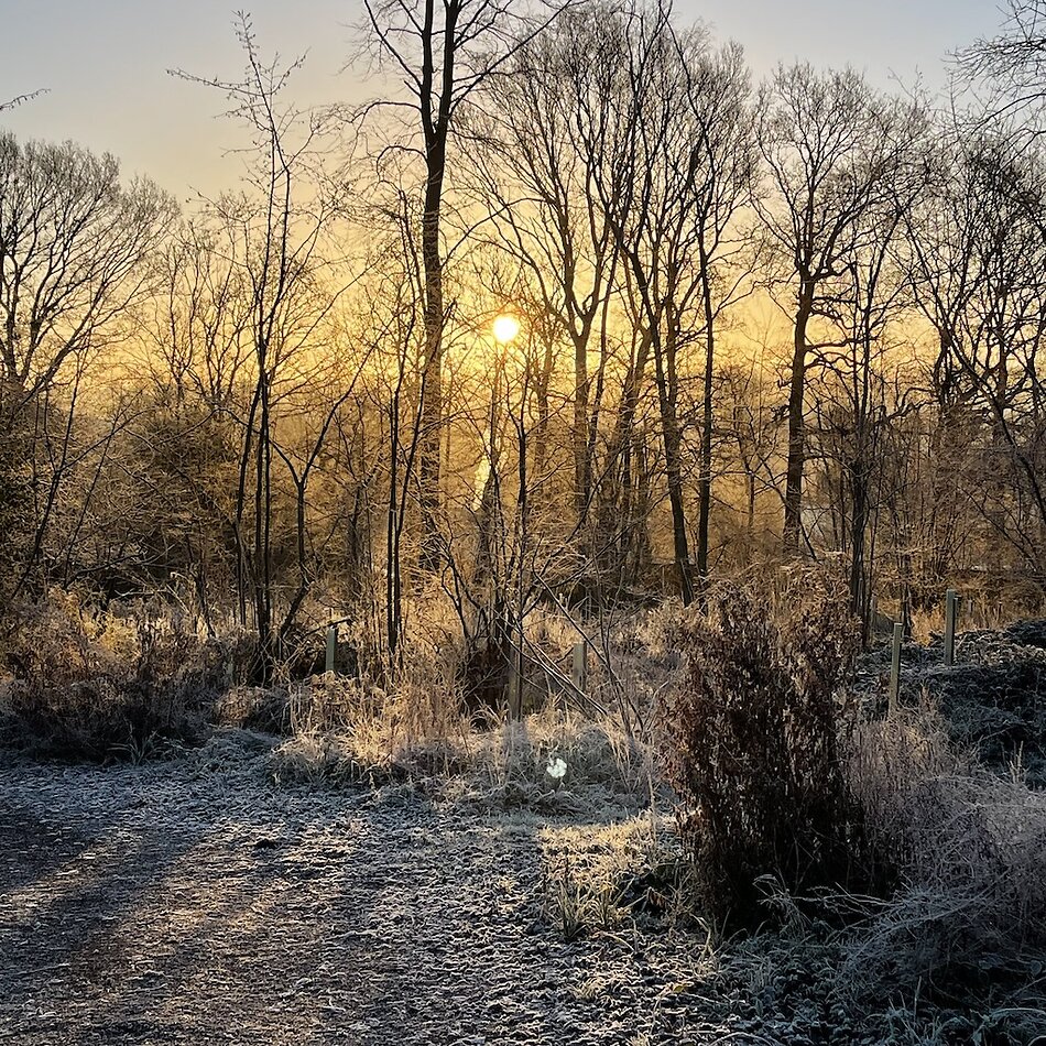 Enchanted Garden - Sussex