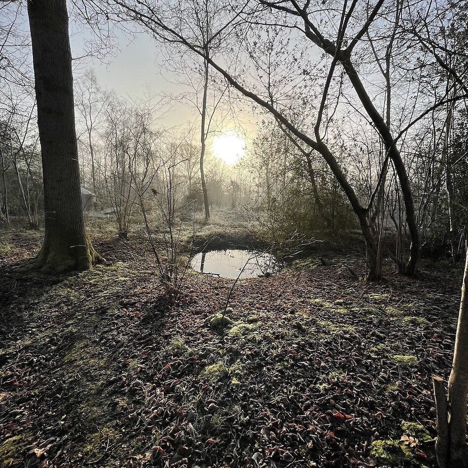 Enchanted Garden - Sussex