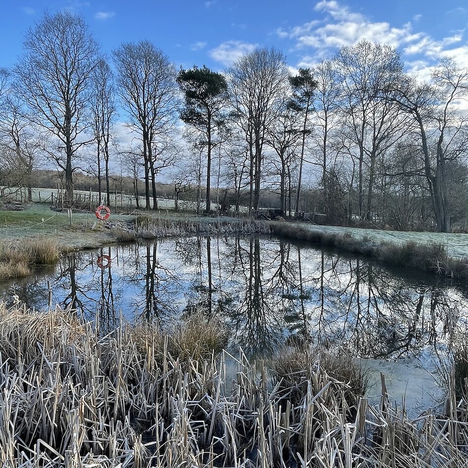 Enchanted Garden - Sussex