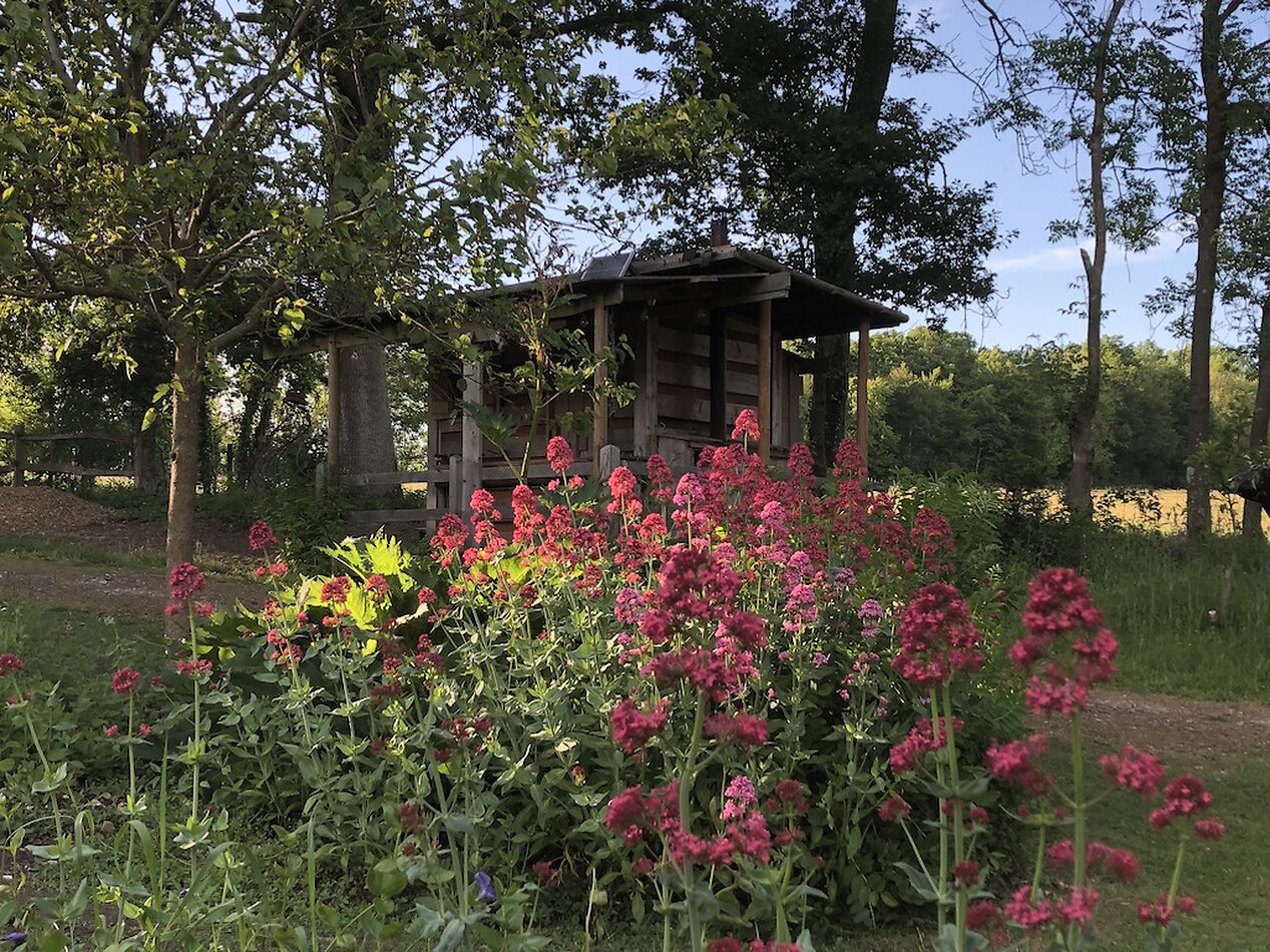 Enchanted Garden - Sussex