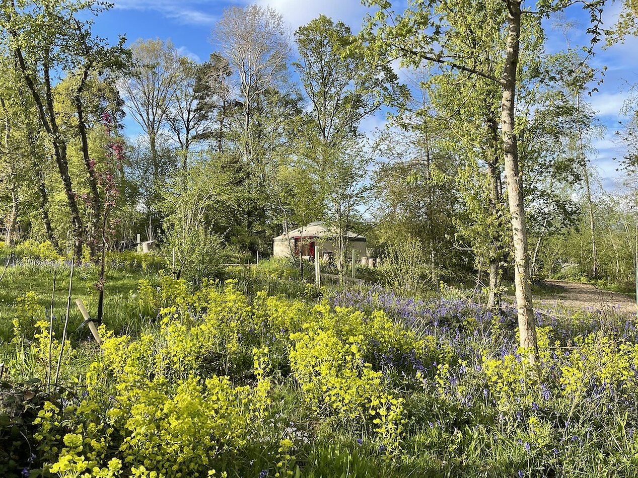 Enchanted Garden - Sussex