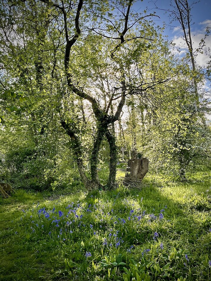 Enchanted Garden - Sussex