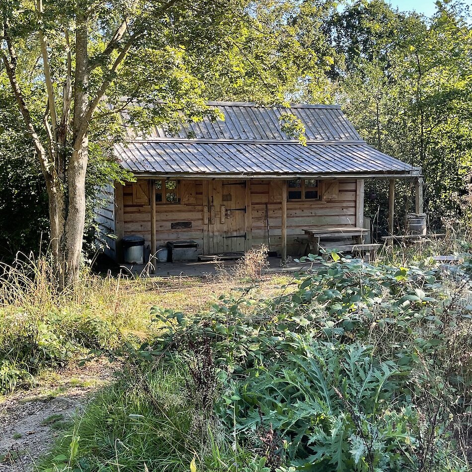 Enchanted Garden - Sussex