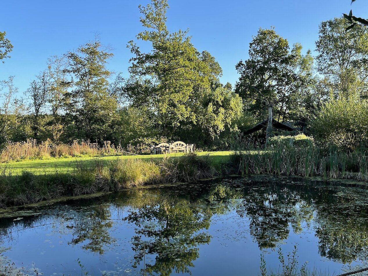 Enchanted Garden - Sussex
