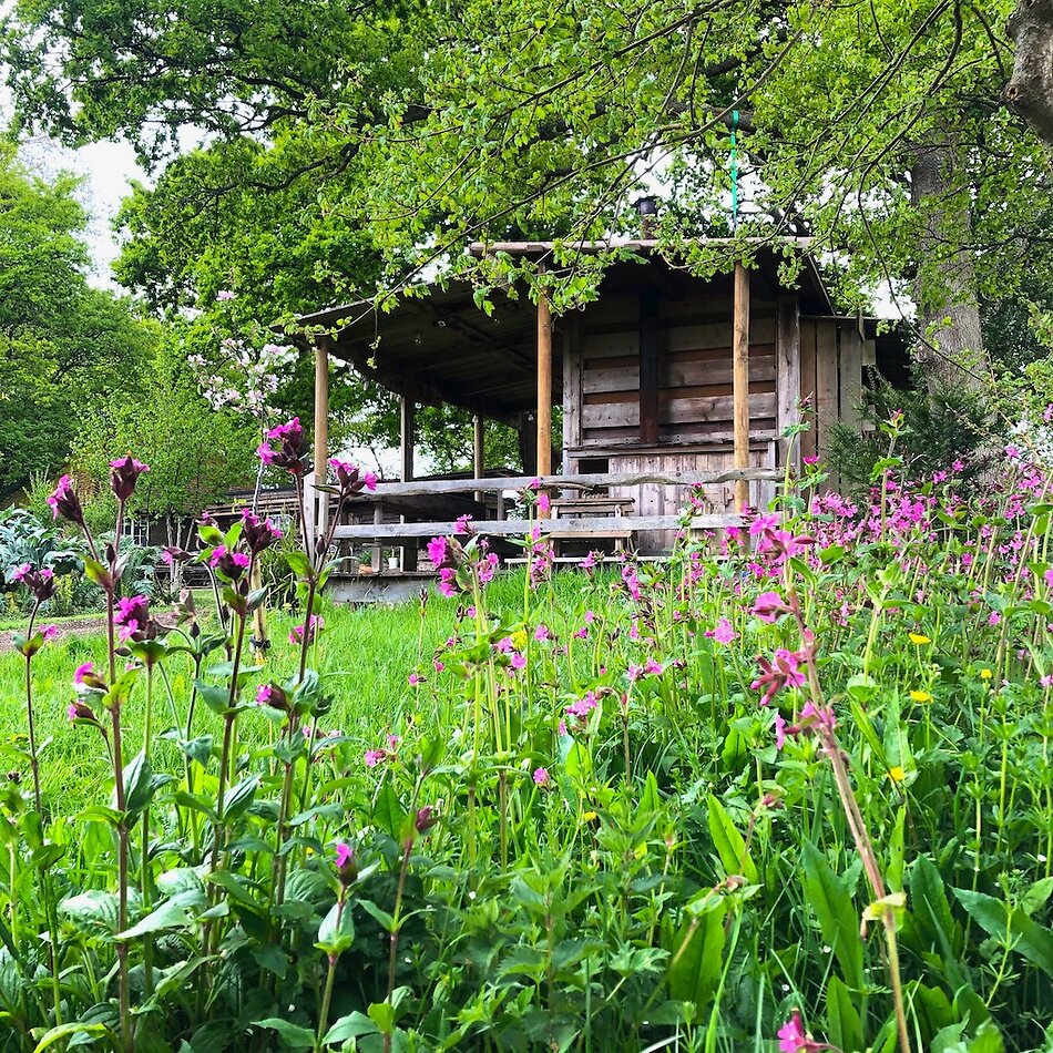 Enchanted Garden - Sussex