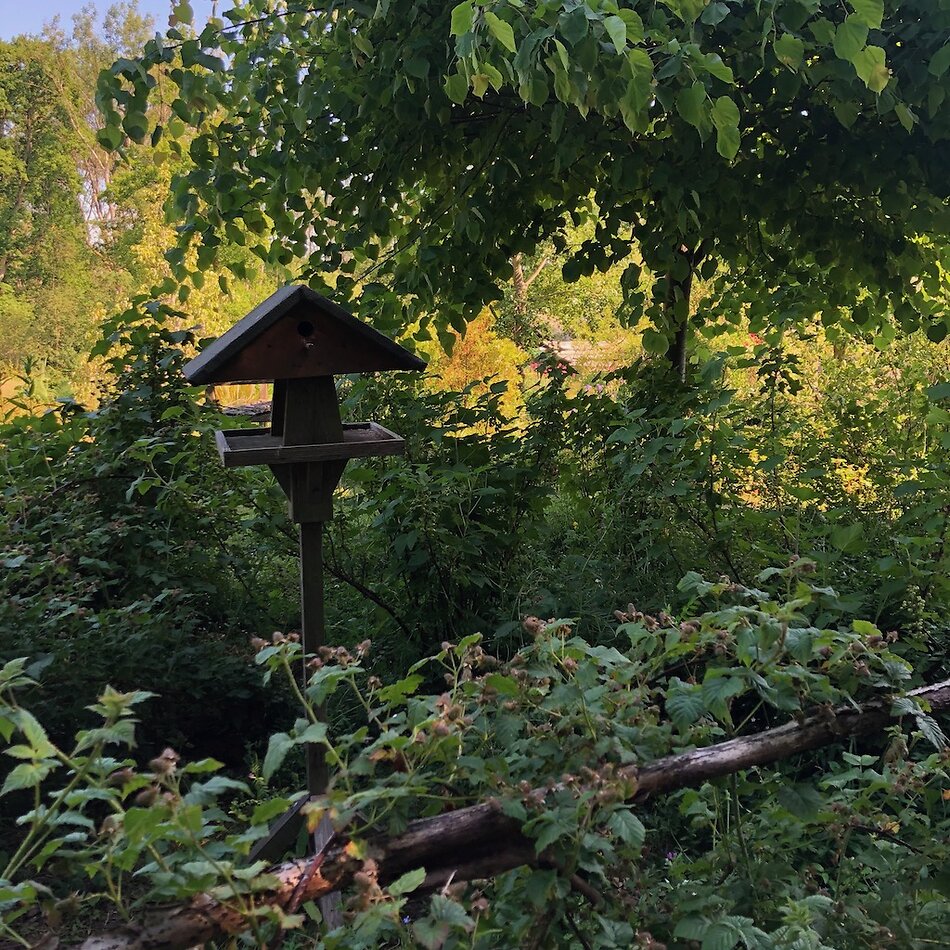 Enchanted Garden - Sussex