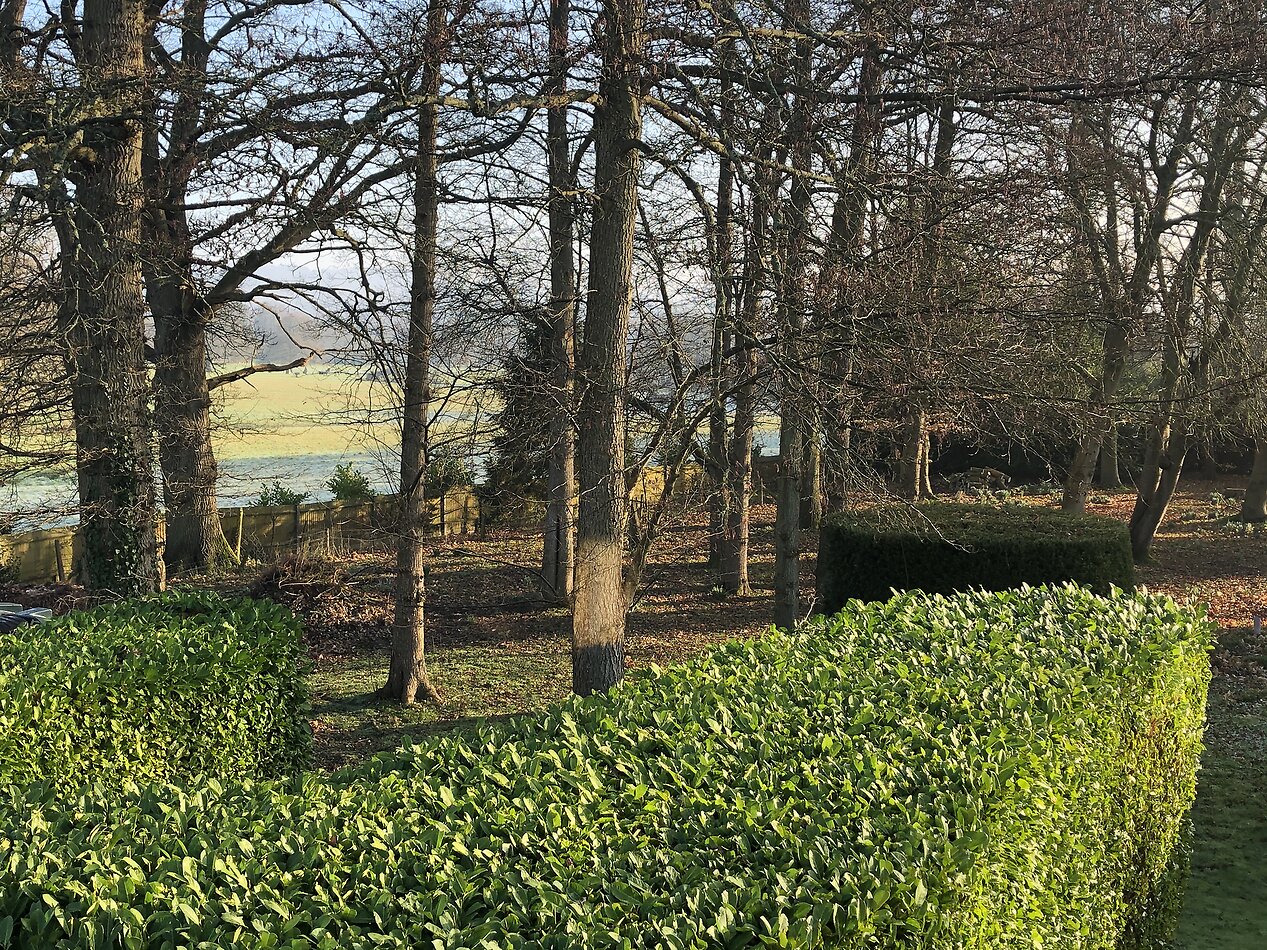 Ryddenwood, Guildford