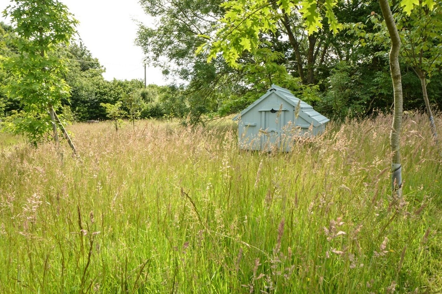 An American Homestead in England ME13