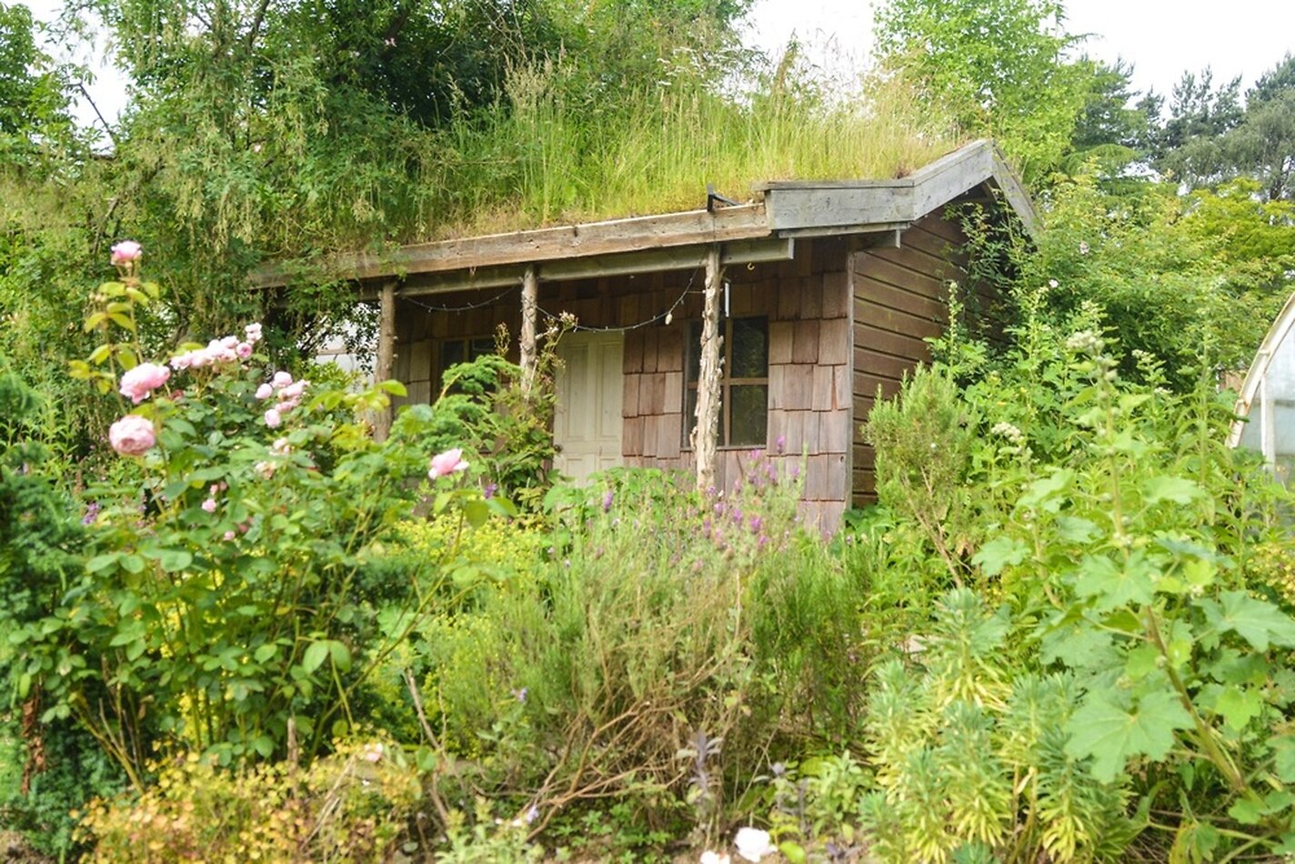 An American Homestead in England ME13