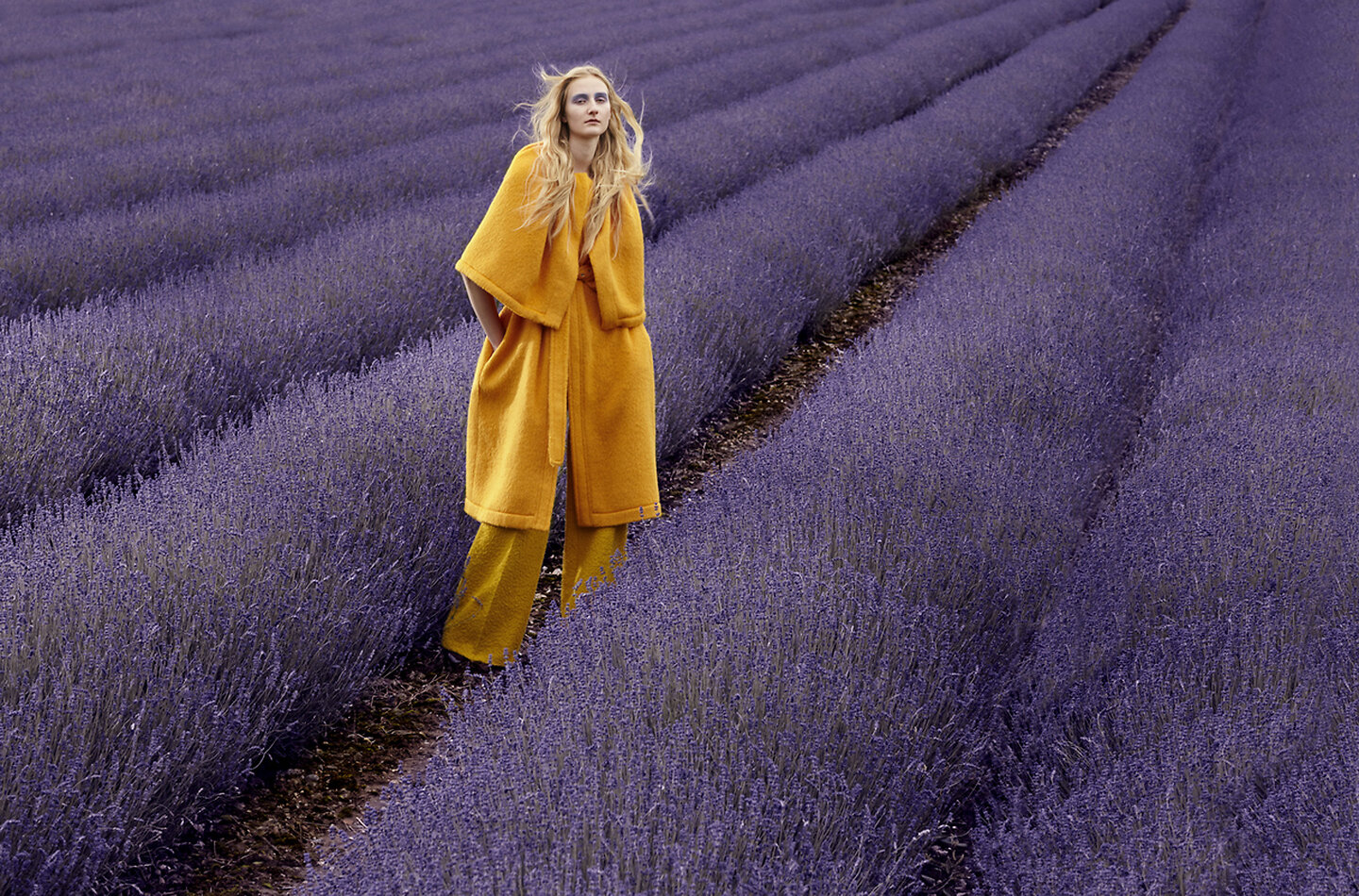 Lavender Farm DA4