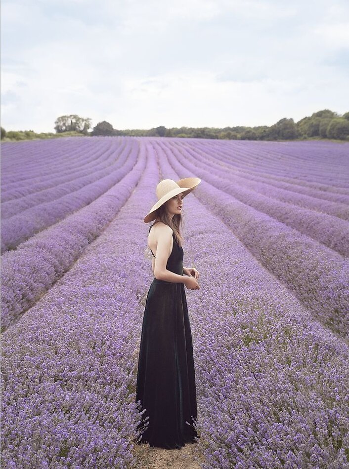 Lavender Farm DA4
