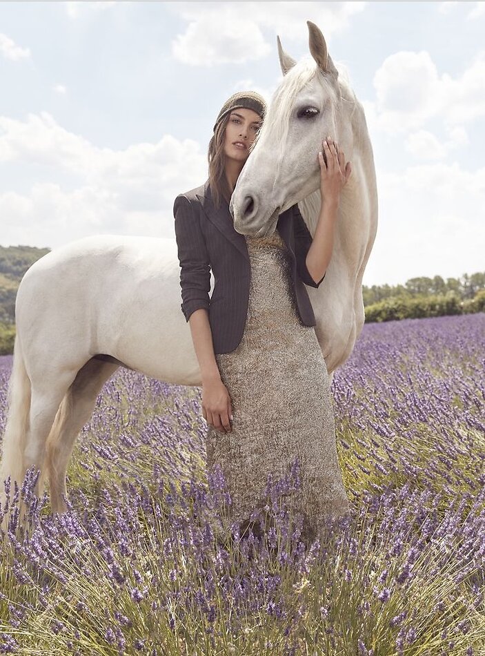 Lavender Farm DA4