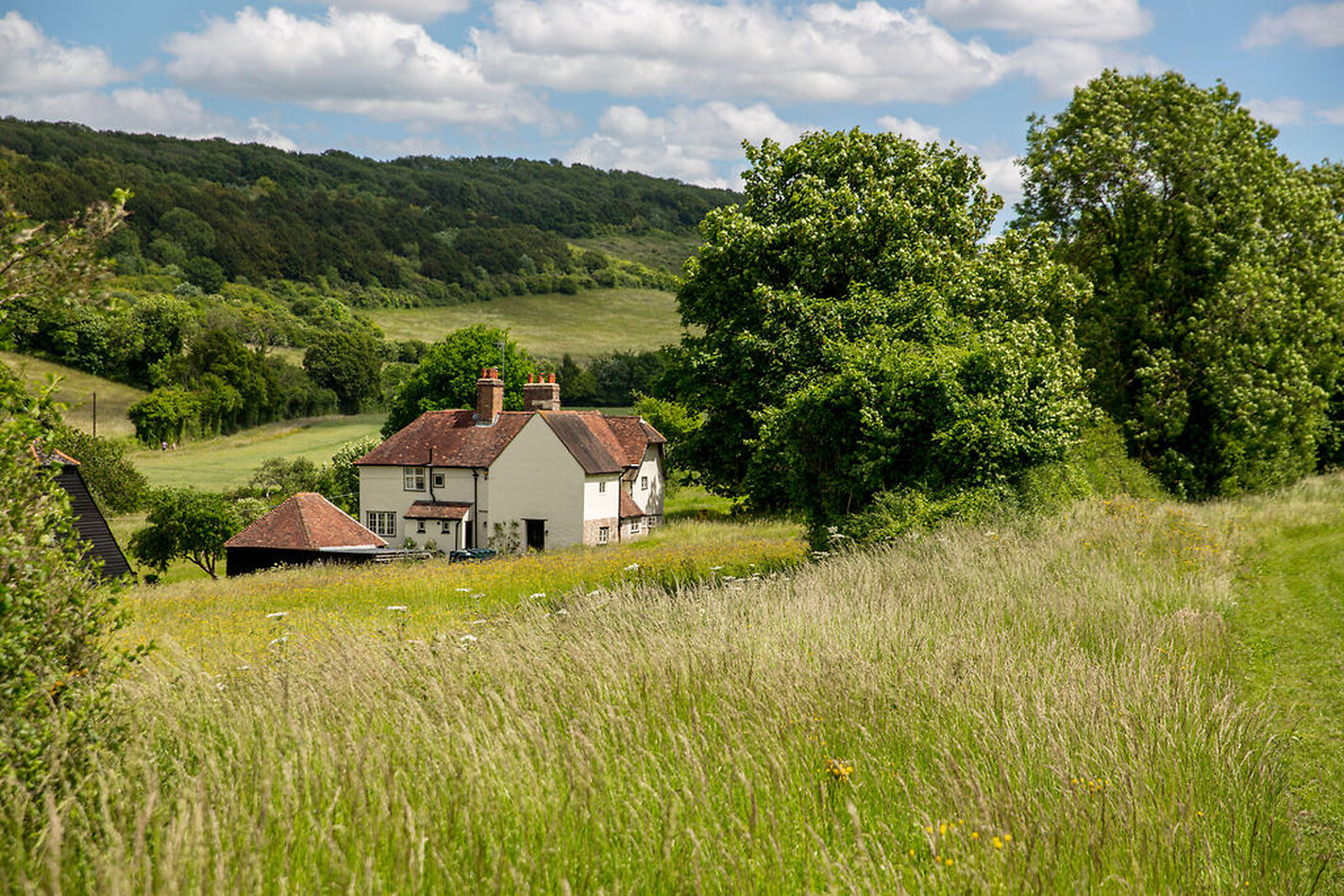 Lavender Farm DA4
