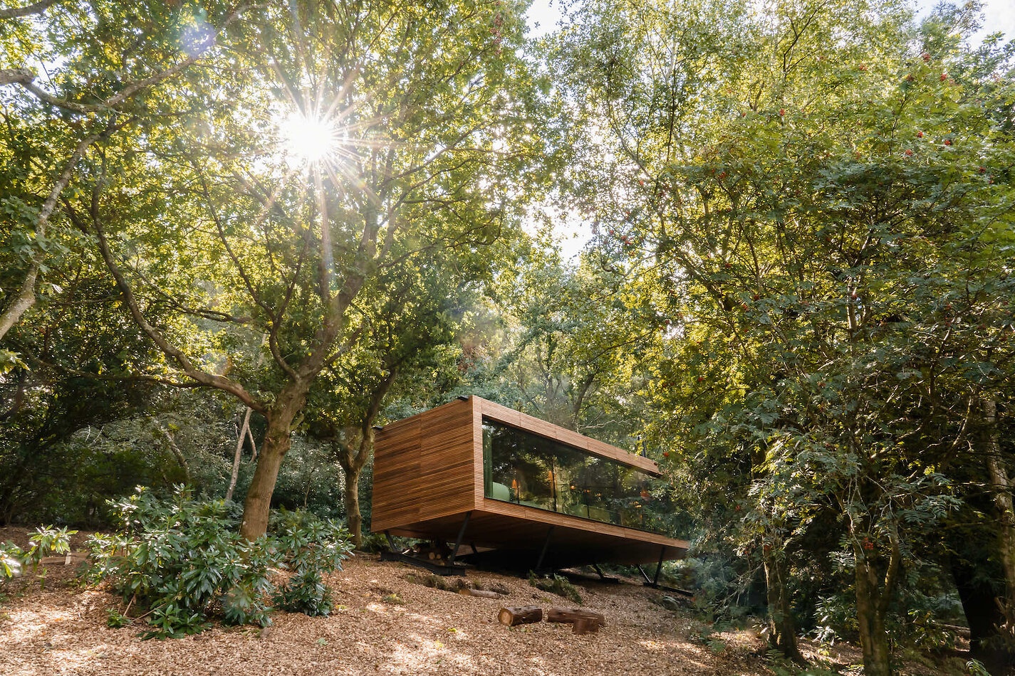Glass Tree House