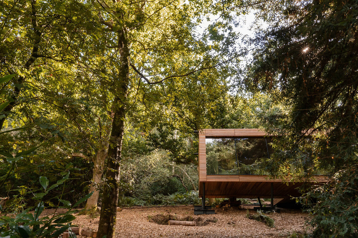 Glass Tree House