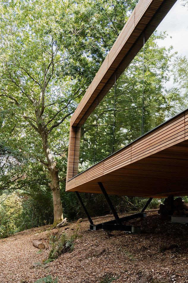 Glass Tree House