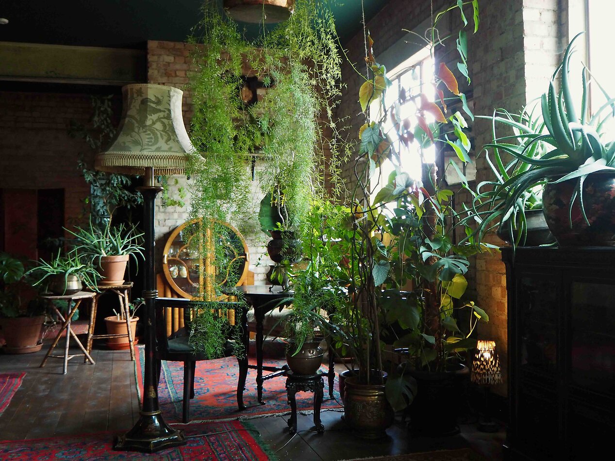 Bohemian Fantasy South E8