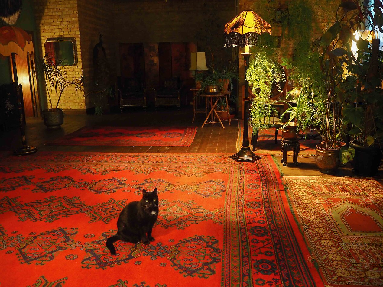 Bohemian Fantasy South E8