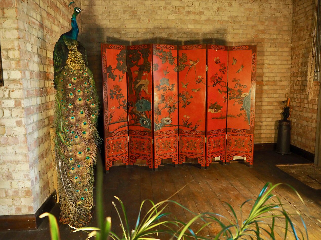 Bohemian Fantasy South E8